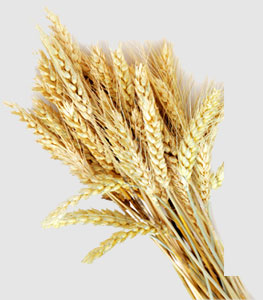 德赢·(VWIN)官方网站-AC米兰官方合作同伴