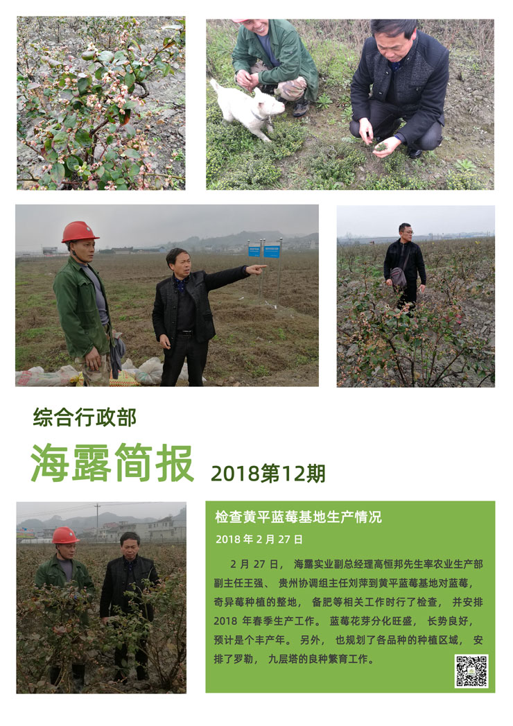 德赢·(VWIN)官方网站-AC米兰官方合作同伴