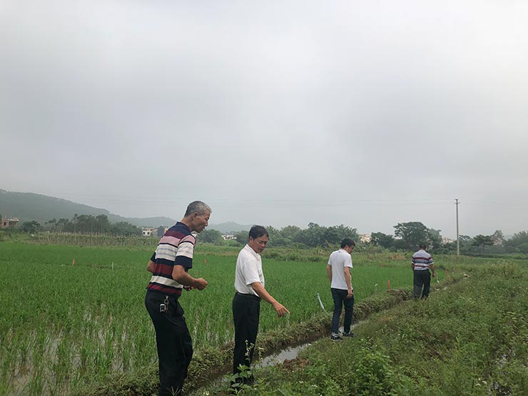 德赢·(VWIN)官方网站-AC米兰官方合作同伴