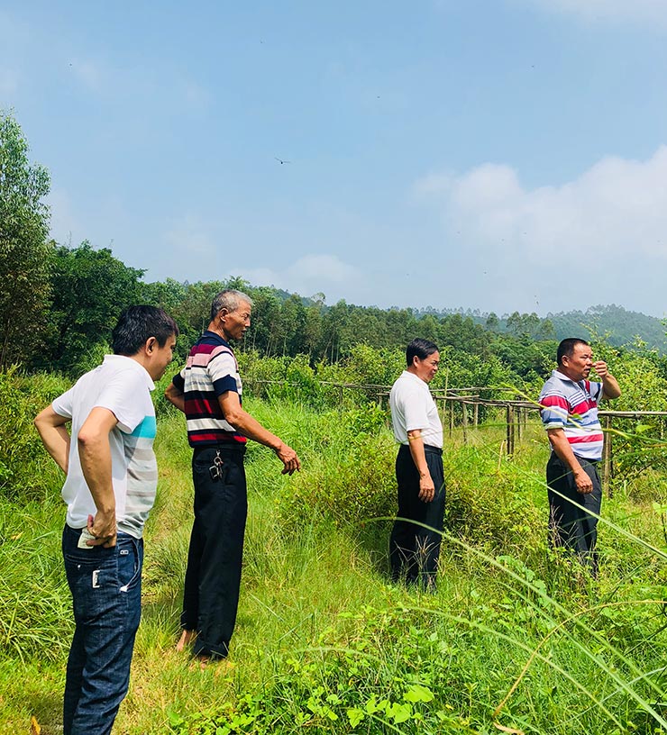 德赢·(VWIN)官方网站-AC米兰官方合作同伴