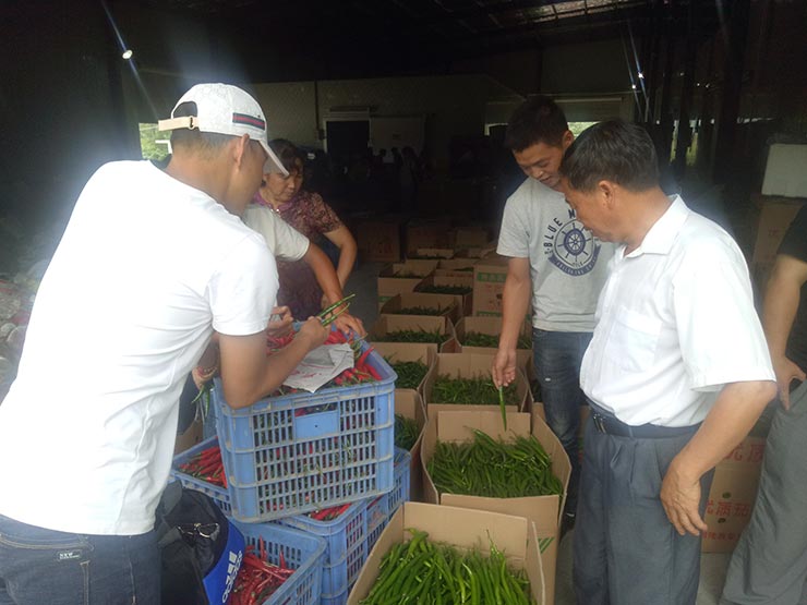 德赢·(VWIN)官方网站-AC米兰官方合作同伴