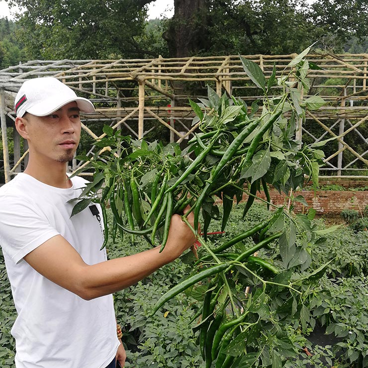 德赢·(VWIN)官方网站-AC米兰官方合作同伴