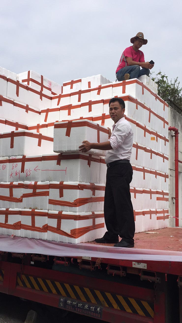 德赢·(VWIN)官方网站-AC米兰官方合作同伴