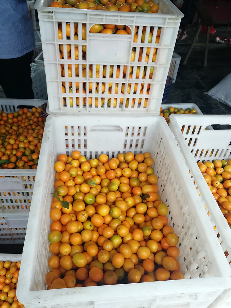 德赢·(VWIN)官方网站-AC米兰官方合作同伴