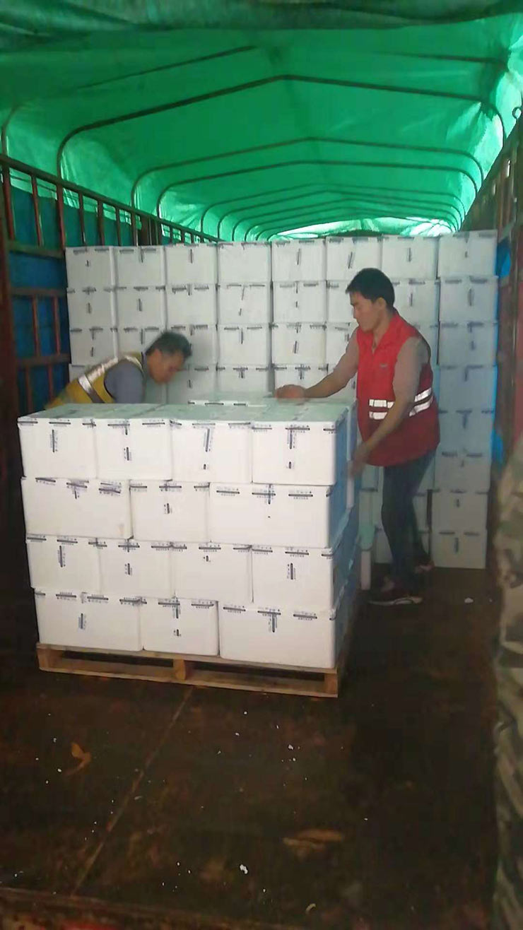 德赢·(VWIN)官方网站-AC米兰官方合作同伴