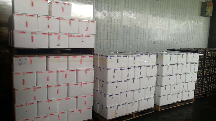 德赢·(VWIN)官方网站-AC米兰官方合作同伴