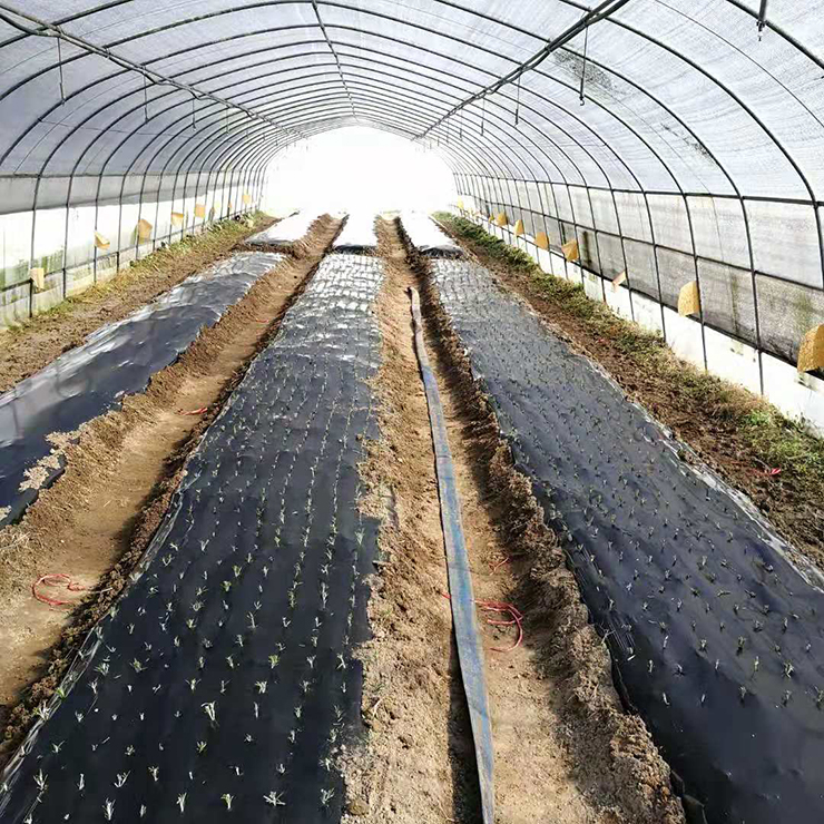 德赢·(VWIN)官方网站-AC米兰官方合作同伴