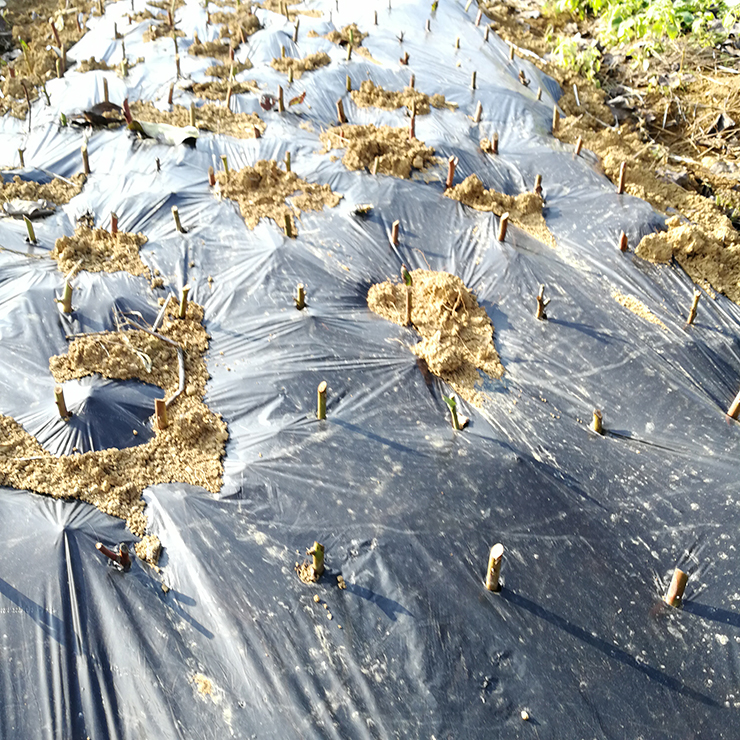 德赢·(VWIN)官方网站-AC米兰官方合作同伴