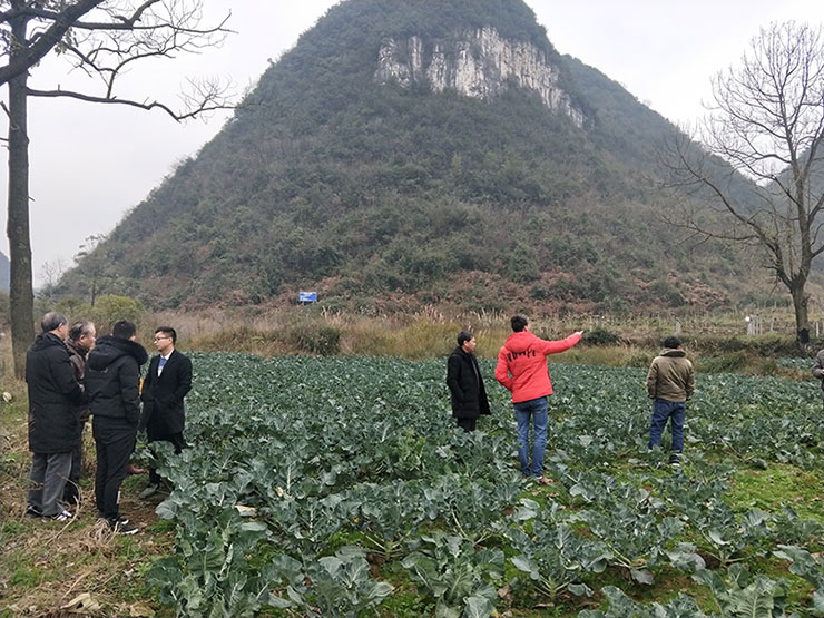 德赢·(VWIN)官方网站-AC米兰官方合作同伴