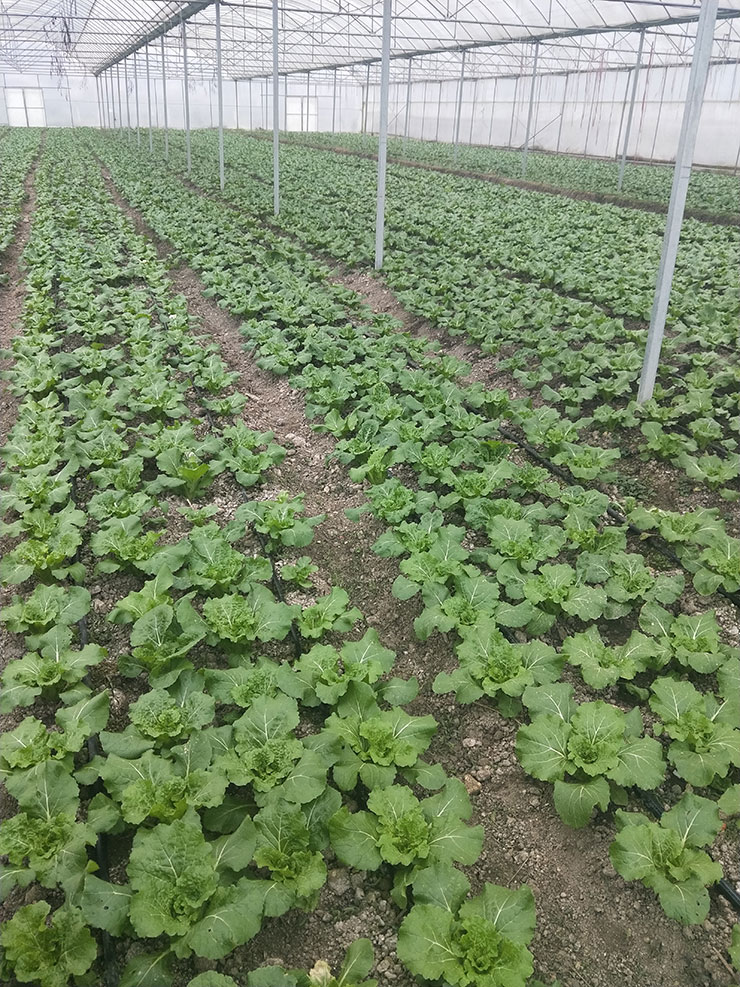 德赢·(VWIN)官方网站-AC米兰官方合作同伴