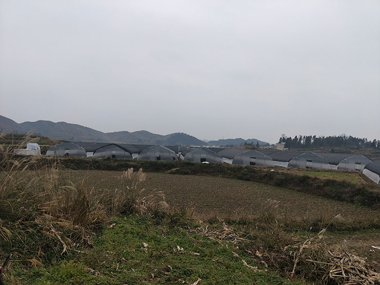 德赢·(VWIN)官方网站-AC米兰官方合作同伴