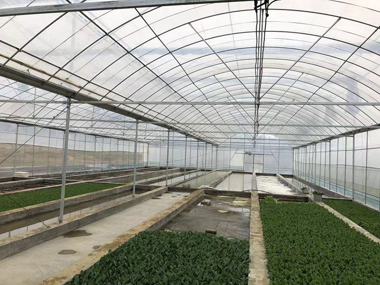 德赢·(VWIN)官方网站-AC米兰官方合作同伴