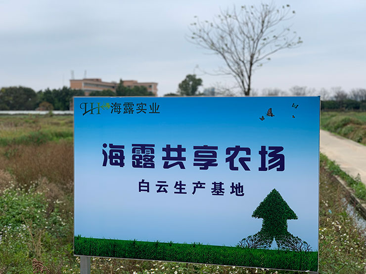 德赢·(VWIN)官方网站-AC米兰官方合作同伴