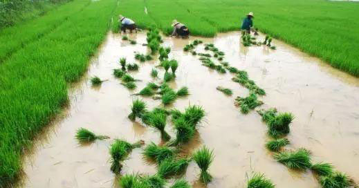 德赢·(VWIN)官方网站-AC米兰官方合作同伴