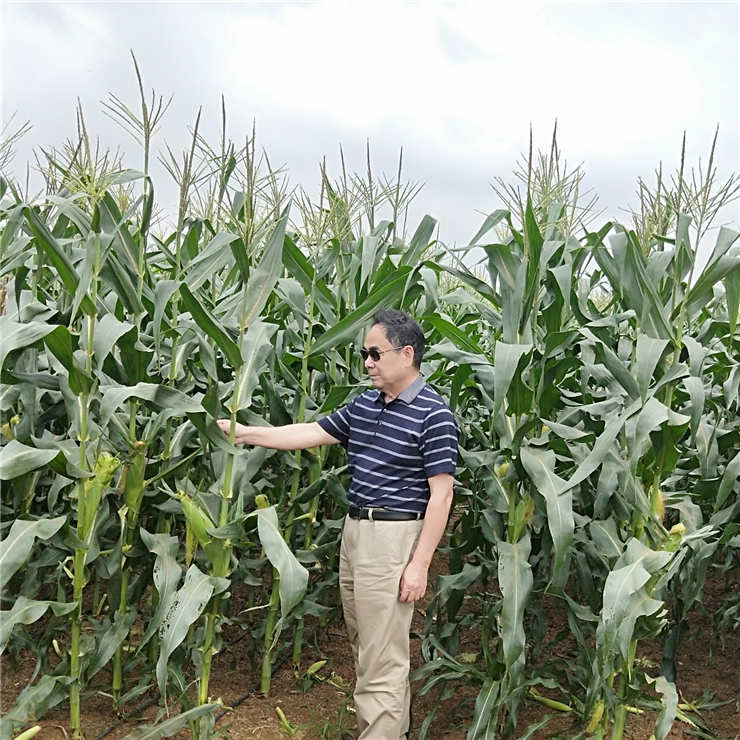 德赢·(VWIN)官方网站-AC米兰官方合作同伴