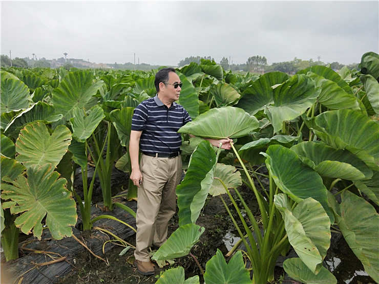 德赢·(VWIN)官方网站-AC米兰官方合作同伴