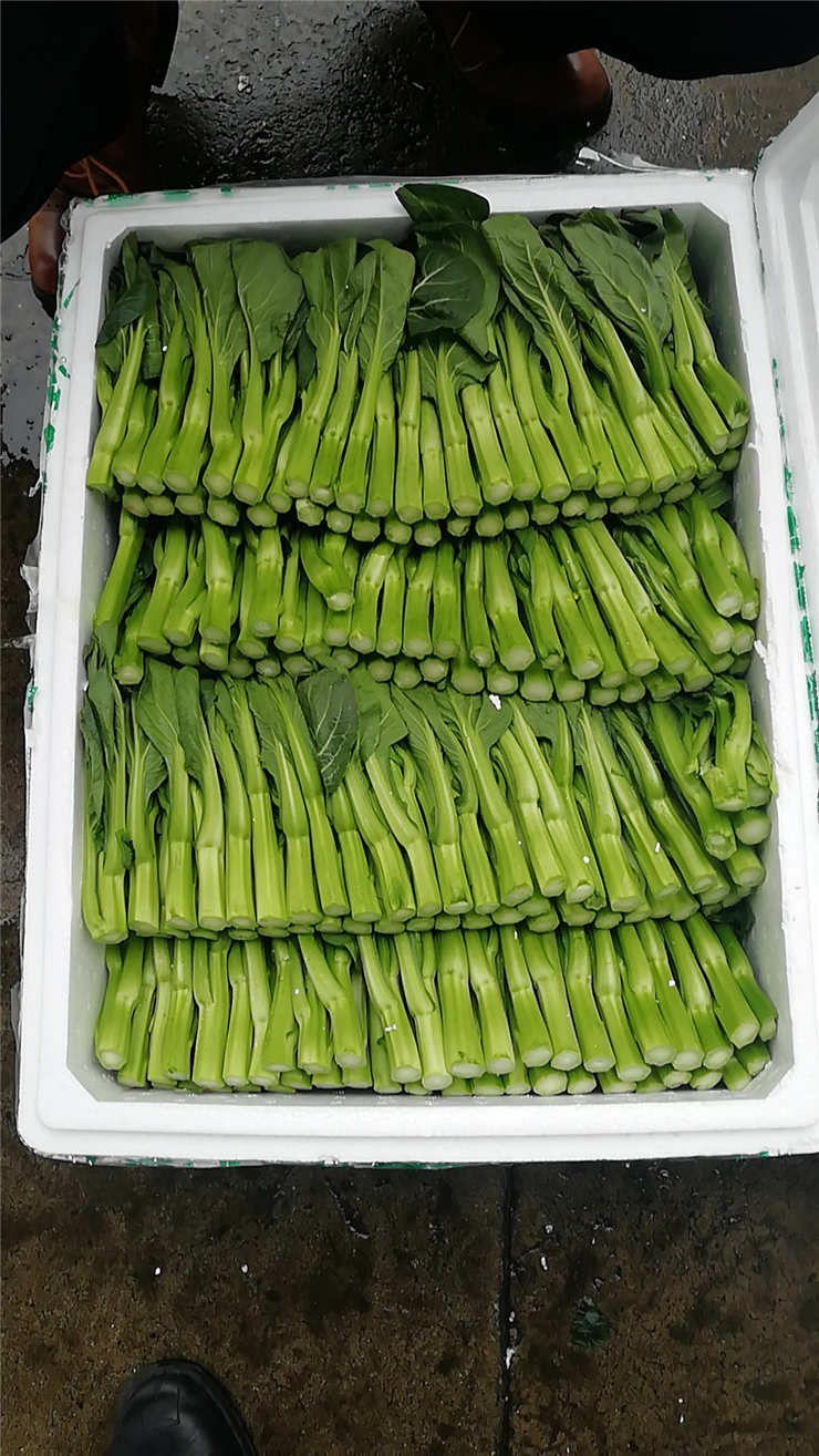 德赢·(VWIN)官方网站-AC米兰官方合作同伴