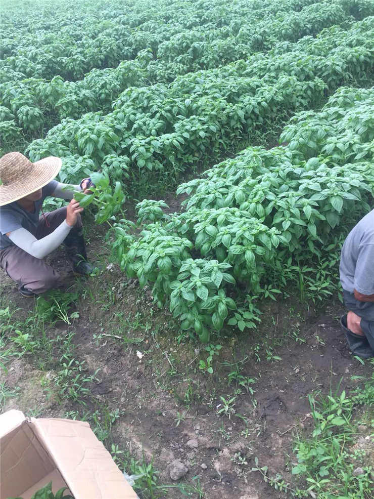 德赢·(VWIN)官方网站-AC米兰官方合作同伴