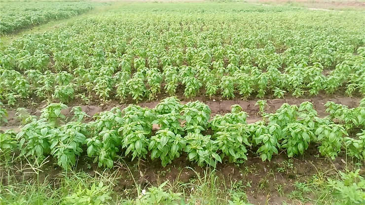 德赢·(VWIN)官方网站-AC米兰官方合作同伴