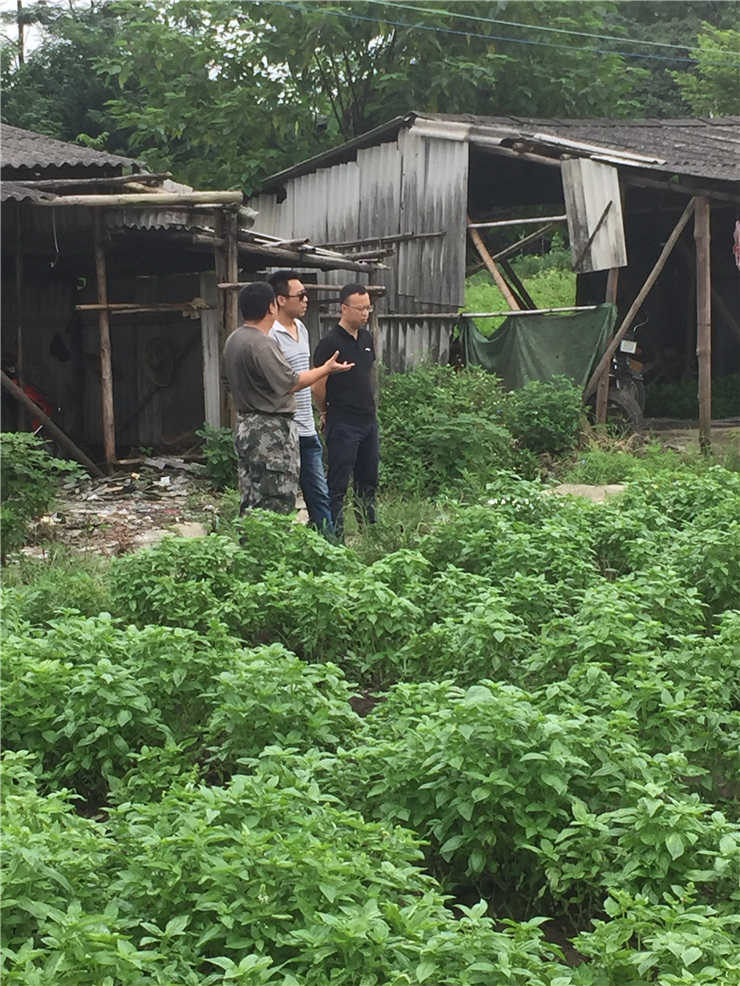 德赢·(VWIN)官方网站-AC米兰官方合作同伴