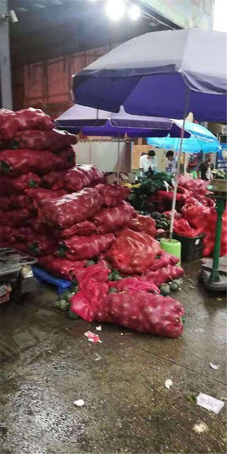 德赢·(VWIN)官方网站-AC米兰官方合作同伴