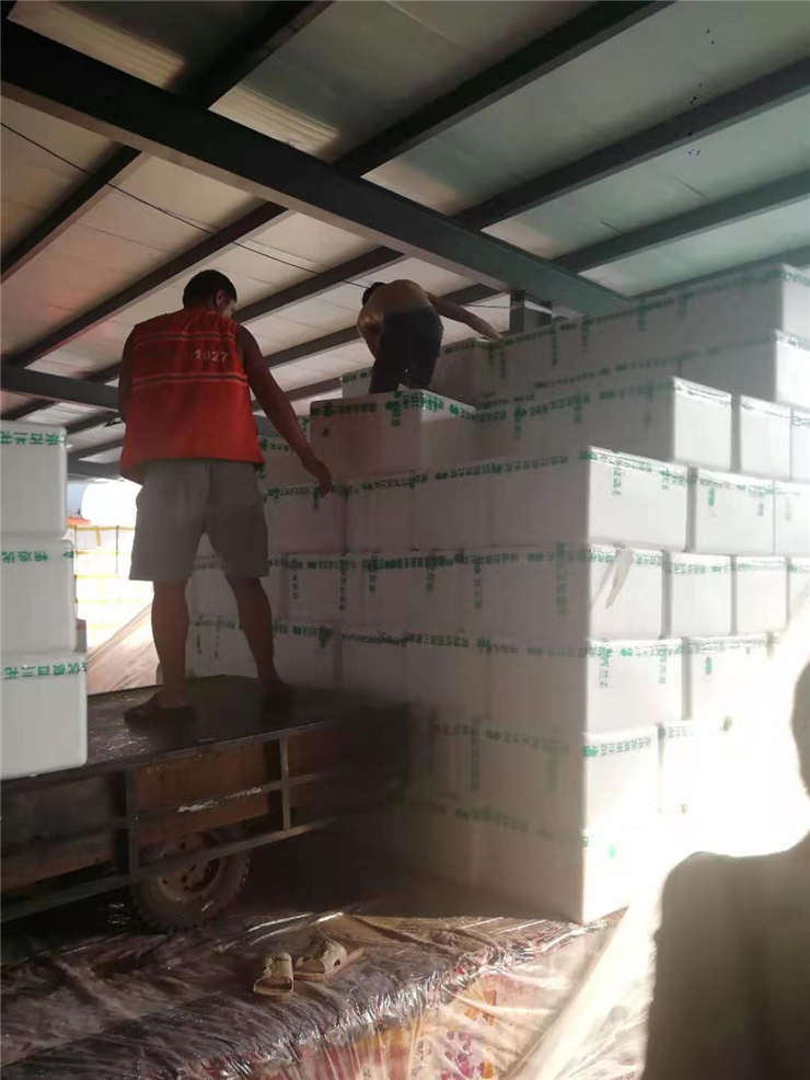 德赢·(VWIN)官方网站-AC米兰官方合作同伴