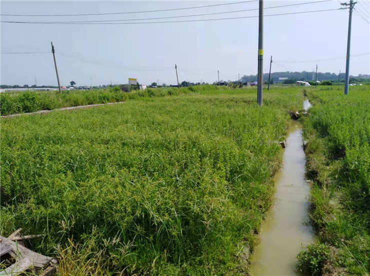 德赢·(VWIN)官方网站-AC米兰官方合作同伴