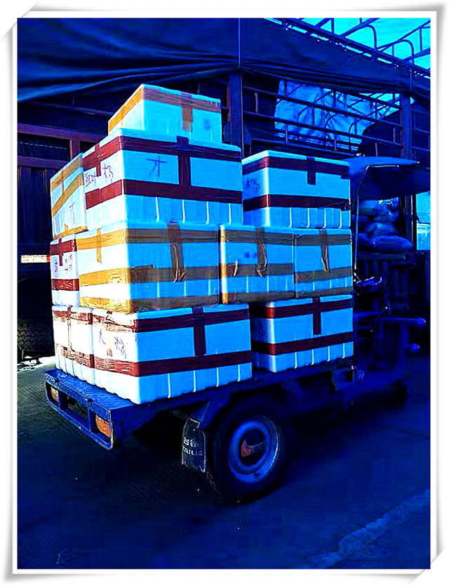 德赢·(VWIN)官方网站-AC米兰官方合作同伴