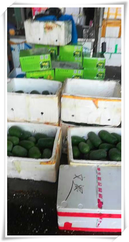 德赢·(VWIN)官方网站-AC米兰官方合作同伴