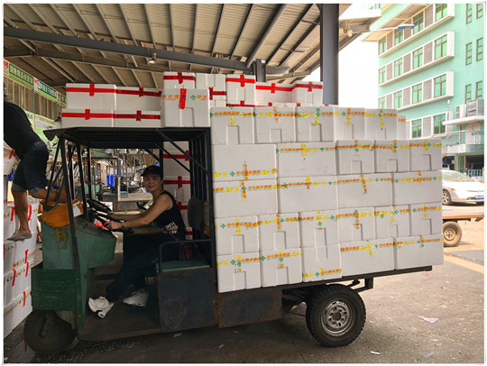 德赢·(VWIN)官方网站-AC米兰官方合作同伴