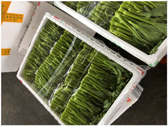 德赢·(VWIN)官方网站-AC米兰官方合作同伴