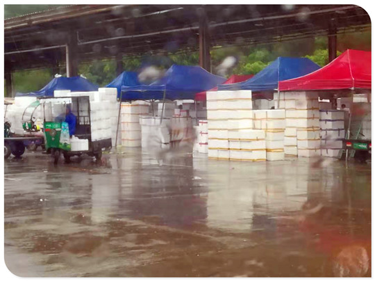 德赢·(VWIN)官方网站-AC米兰官方合作同伴