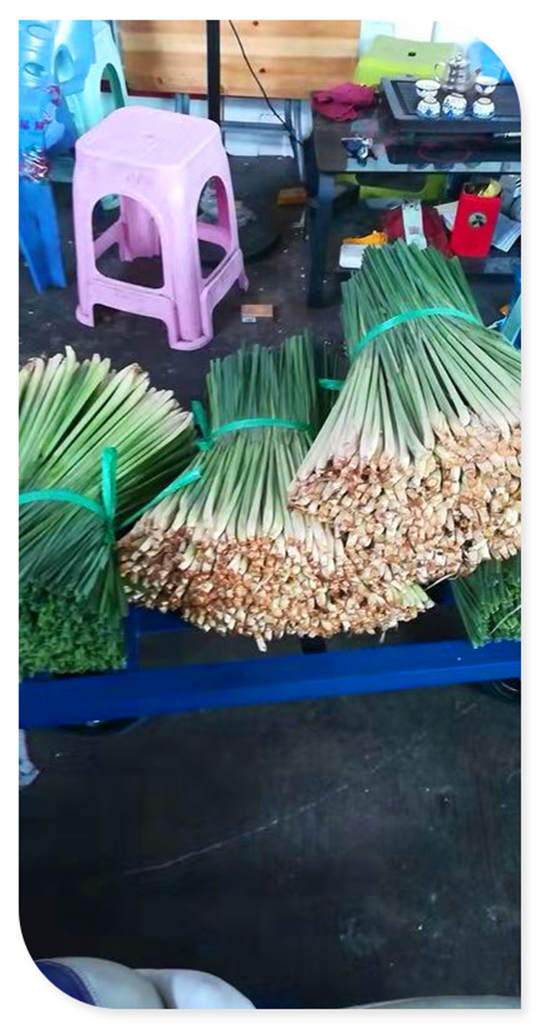 德赢·(VWIN)官方网站-AC米兰官方合作同伴