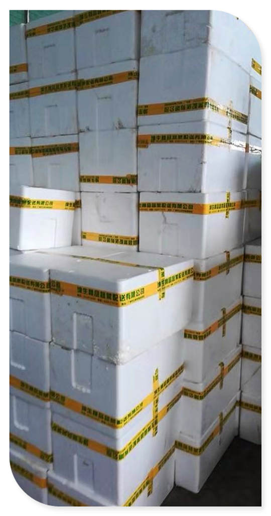 德赢·(VWIN)官方网站-AC米兰官方合作同伴