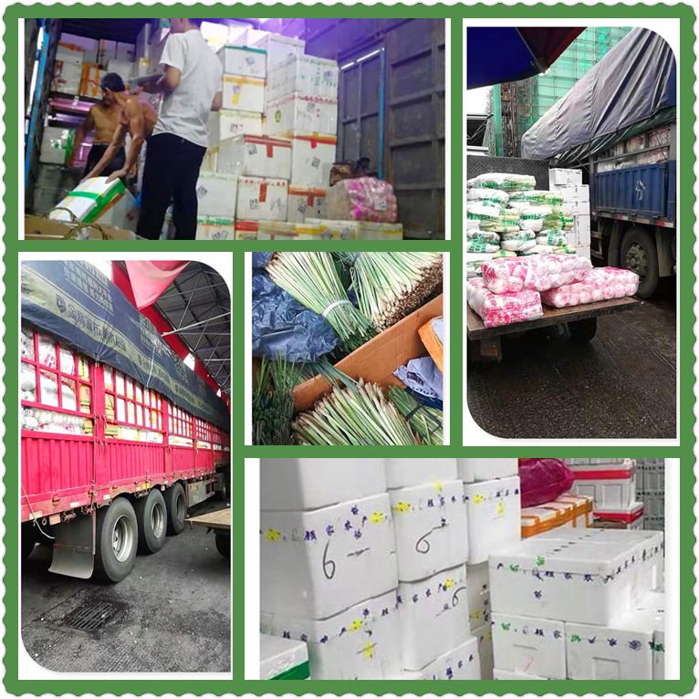 德赢·(VWIN)官方网站-AC米兰官方合作同伴