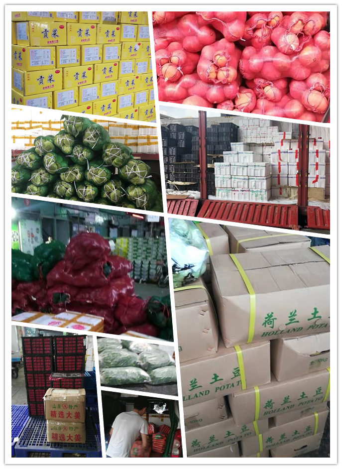 德赢·(VWIN)官方网站-AC米兰官方合作同伴