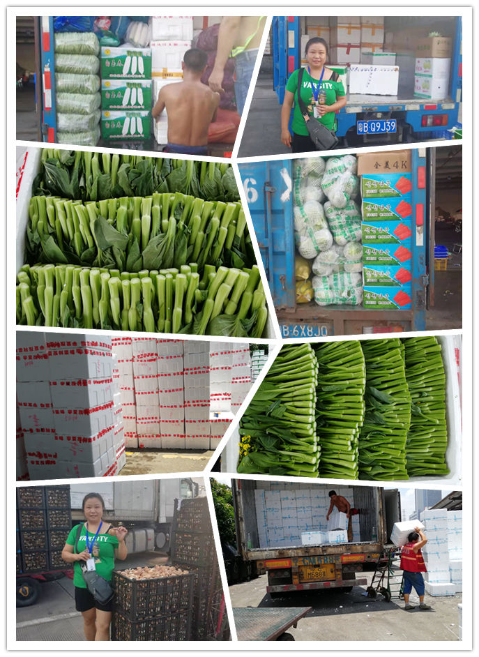 德赢·(VWIN)官方网站-AC米兰官方合作同伴