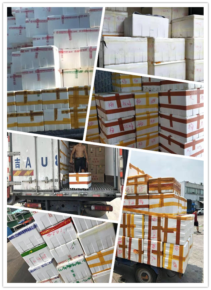 德赢·(VWIN)官方网站-AC米兰官方合作同伴