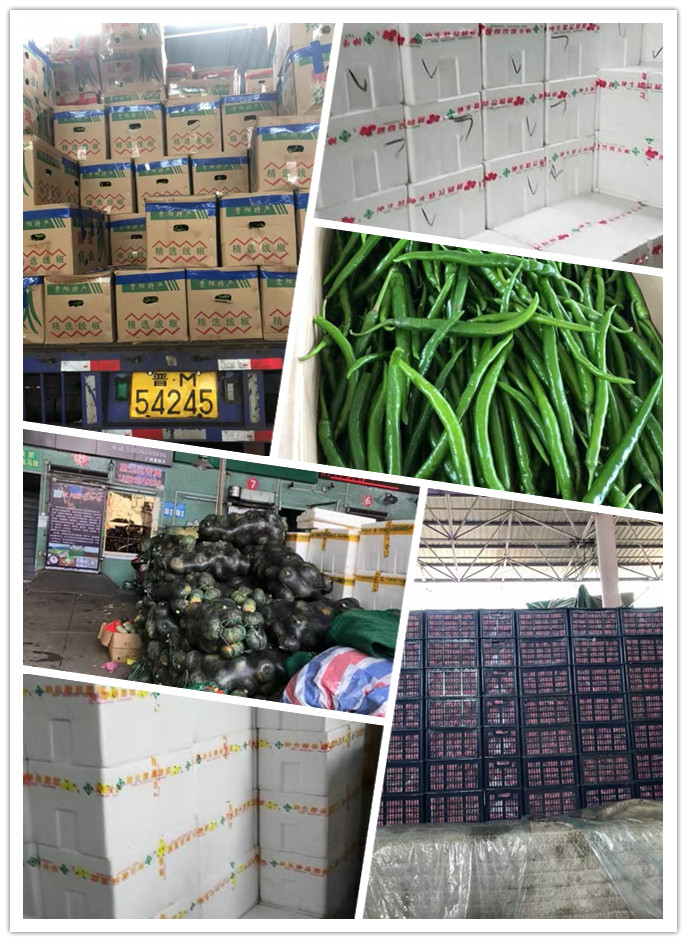 德赢·(VWIN)官方网站-AC米兰官方合作同伴