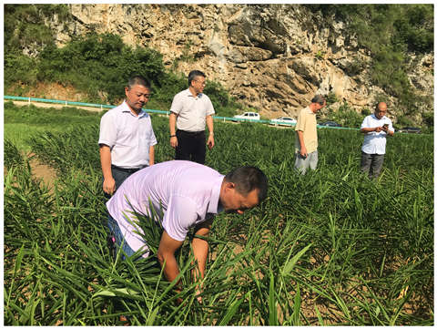 德赢·(VWIN)官方网站-AC米兰官方合作同伴