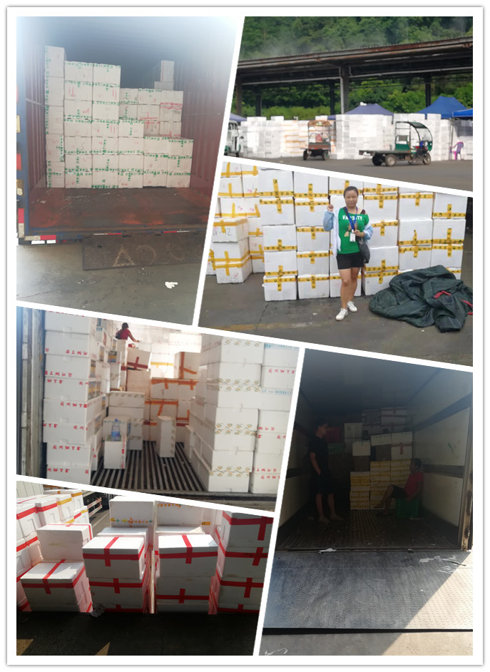 德赢·(VWIN)官方网站-AC米兰官方合作同伴