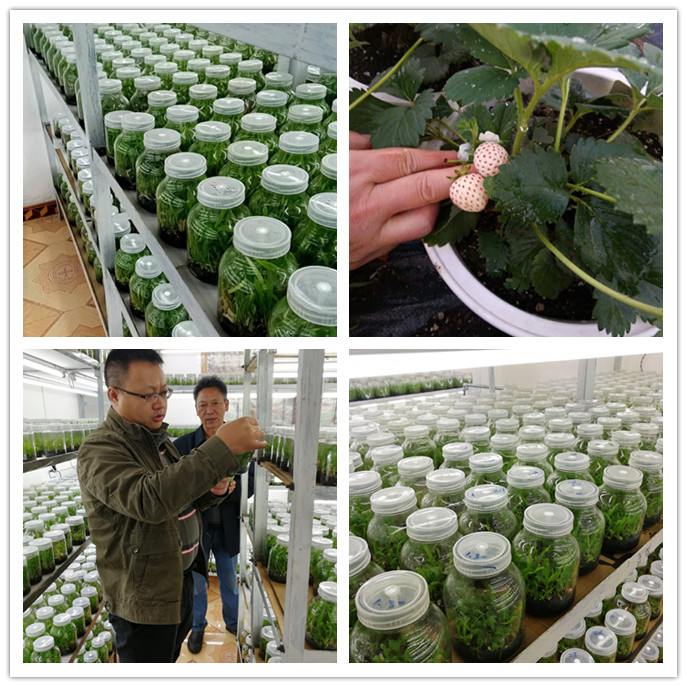 德赢·(VWIN)官方网站-AC米兰官方合作同伴