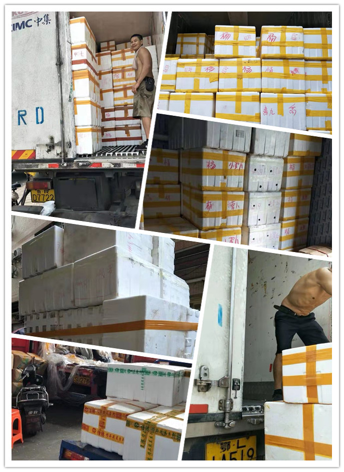 德赢·(VWIN)官方网站-AC米兰官方合作同伴