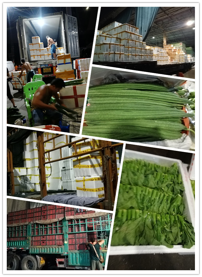 德赢·(VWIN)官方网站-AC米兰官方合作同伴