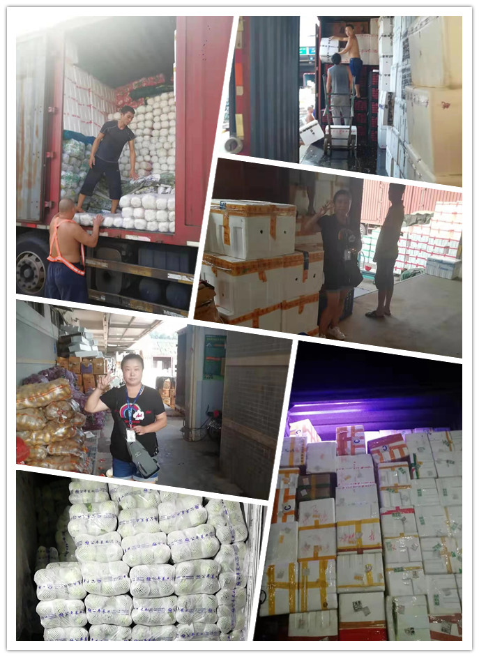 德赢·(VWIN)官方网站-AC米兰官方合作同伴