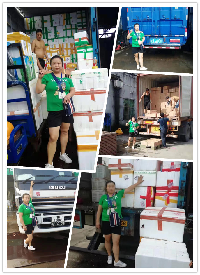 德赢·(VWIN)官方网站-AC米兰官方合作同伴