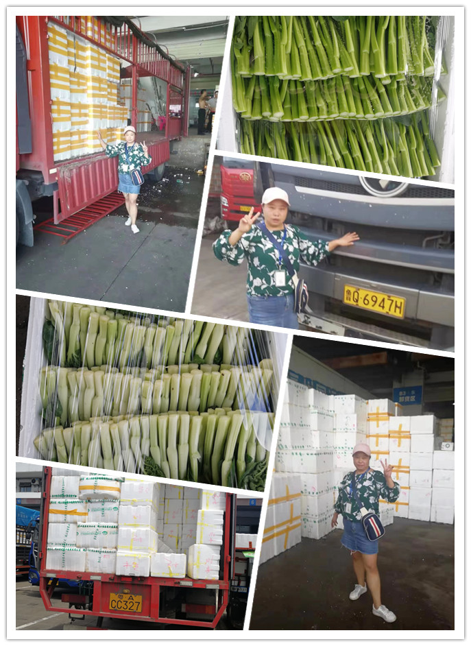 德赢·(VWIN)官方网站-AC米兰官方合作同伴