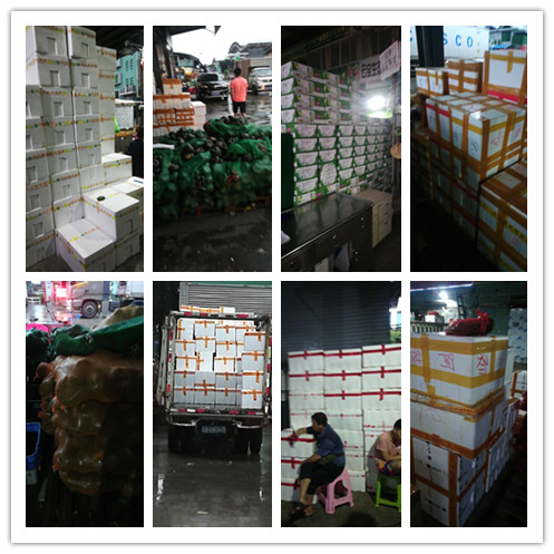 德赢·(VWIN)官方网站-AC米兰官方合作同伴