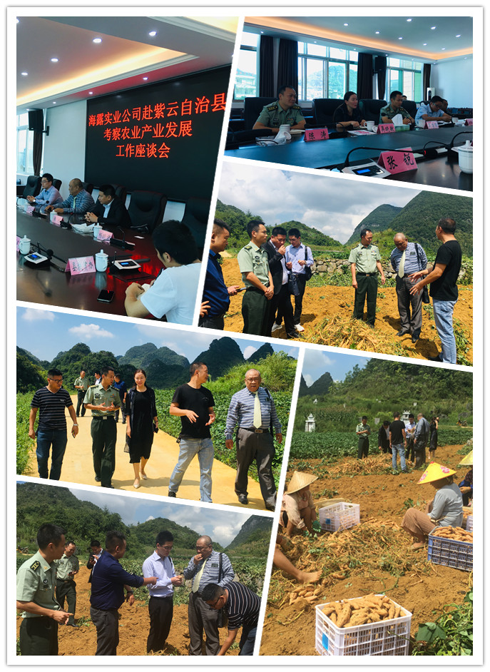 德赢·(VWIN)官方网站-AC米兰官方合作同伴