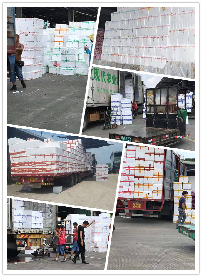 德赢·(VWIN)官方网站-AC米兰官方合作同伴